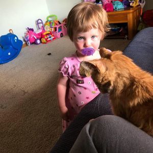 Meet your Posher, Lola